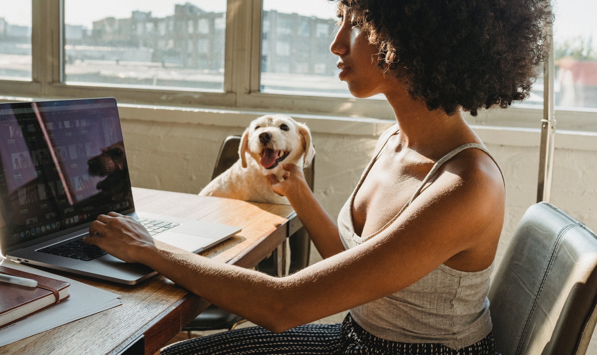 A woman on her laptop with her dog