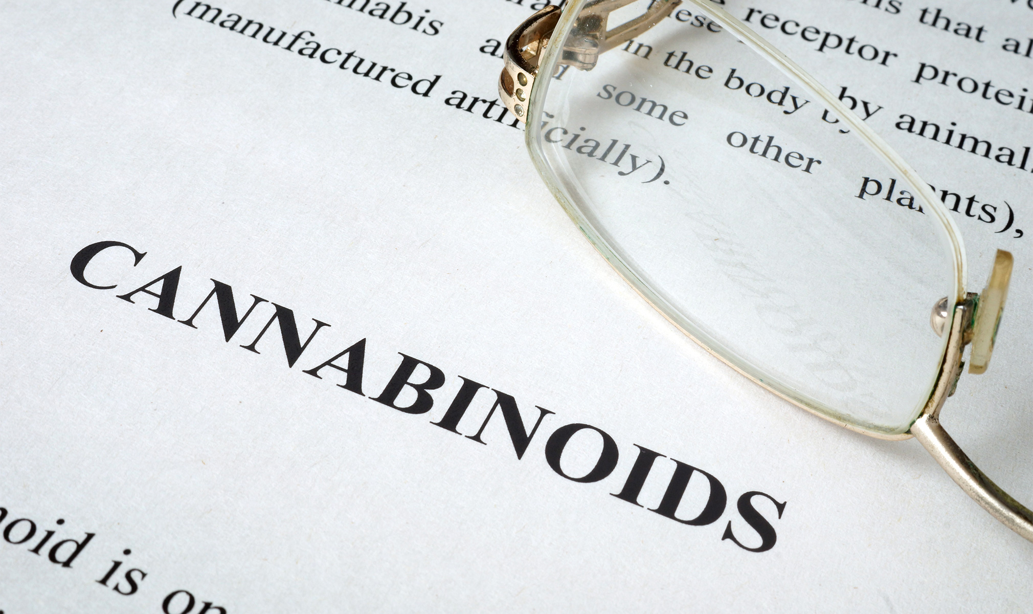cbdfx us blog CBD and Friends Exploring Minor Cannabinoids