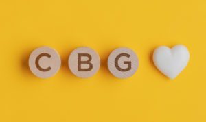 cbdfx us blog What Is CBG