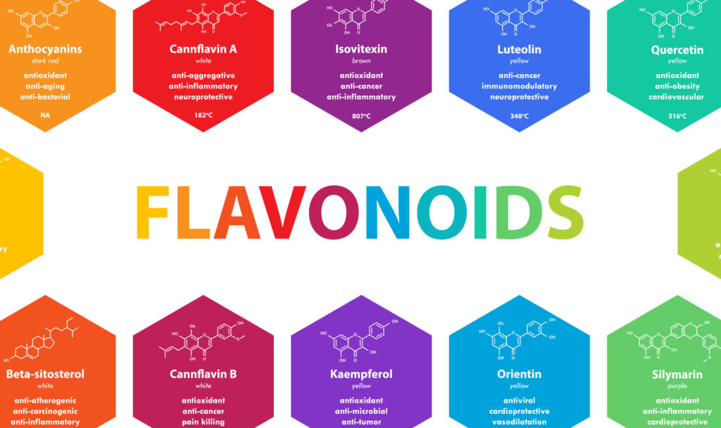 What Are Flavonoids in Cannabis?