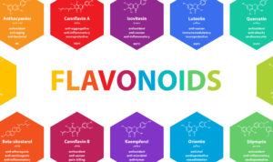 What Are Flavonoids in Cannabis