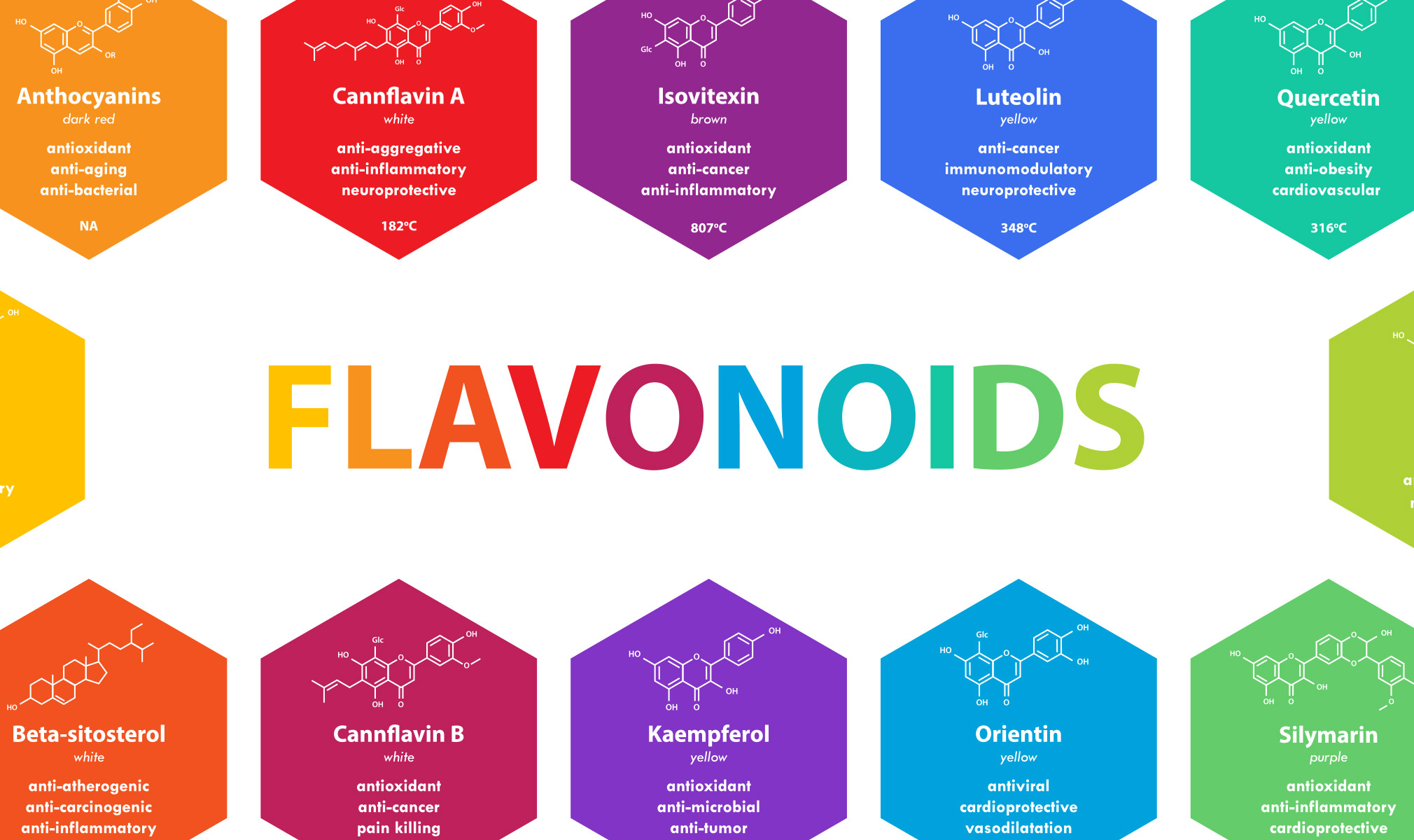 What Are Flavonoids in Cannabis