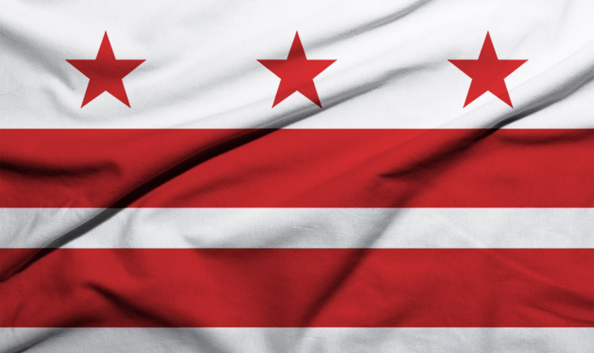 washington dc flag